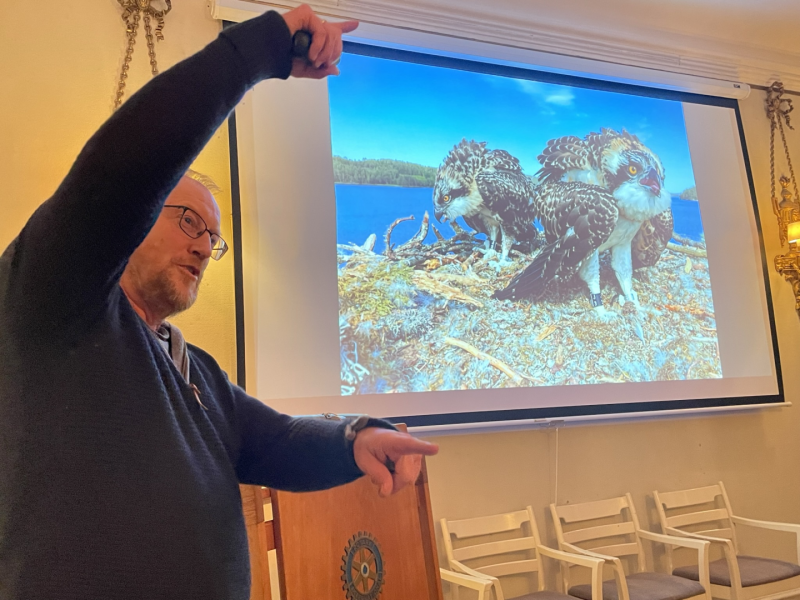 Fiskeørnene på Rauer